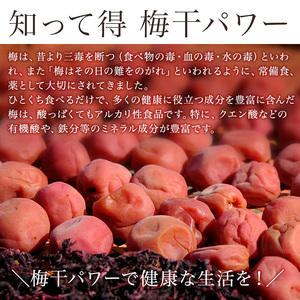 《紀州南高梅》うす塩梅干し 750g〔化粧箱入り〕【ard100】