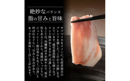 B7-001 鹿児島黒豚「霧島熟成神話豚」レトルトカレー福袋3点セット【富士食品】霧島市 レトルトカレー 常温保存 惣菜 おかず