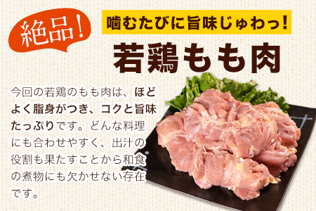 鶏肉 熊本県産若鶏 もも肉 4kg | 鶏肉 もも