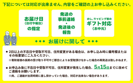 パイン【2026年発送】訳ありパイン 4～8玉 約4.8kg（ボゴール）