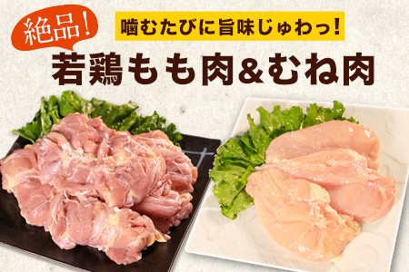 鶏肉 もも2kg むね4kg 計6kg 若鶏 熊本産 | 鶏肉