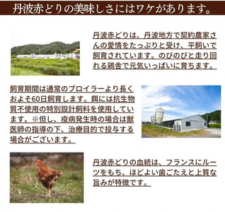 鶏肉 地鶏丹波黒どり 手羽先 手羽元 計5.5kg 訳あり鶏肉