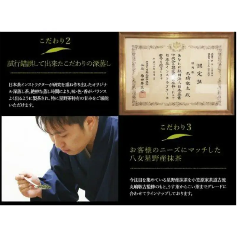 八女星野玉露ティーバッグ2.5g×100個【A5-315】