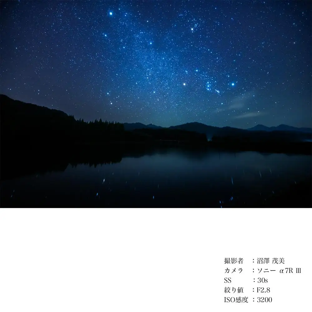  SIGMA 14-24mm F2.8 DG DN | Art 【Lマウント】カメラ レンズ 家電