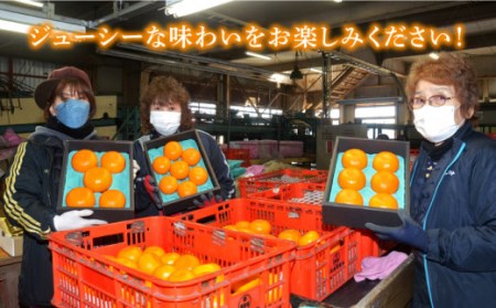 【2027年2月-発送】期間限定！せとか 2kg / みかん ミカン 蜜柑 みかん ミカン ミカン 果物 フルーツ 贈答用 化粧箱 / 南島原市 / JA島原雲仙東南部基幹センター[SAC002]