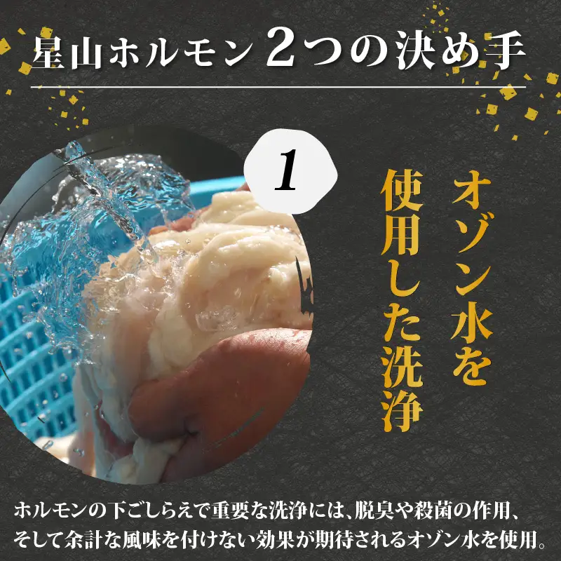 上ホルモン（白）500g×2袋 ｜ホルモン 六間星山  焼肉  BBQ 