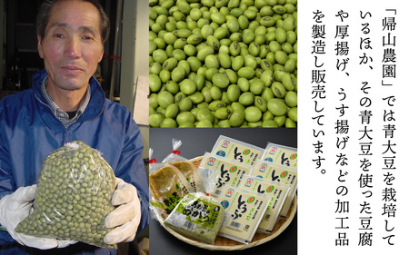 農家直送 豆好きのあなたに贈る農家直送　厳選大粒青大豆2kg  [A-001028]