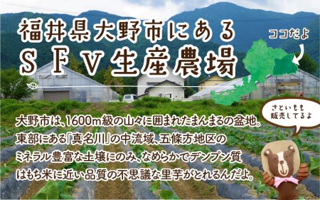 みんなのアイス6個セット（ 卵・牛乳・小麦等アレルギー特定原材料8品目不使用のアイス） 