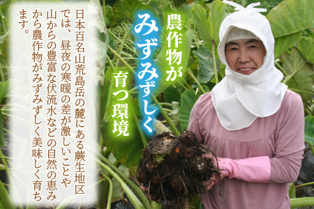 【先行予約】日本百名山 荒島岳の麓で育てた 蕨生（わらびょう）里芋 3kg【11月より順次発送】
