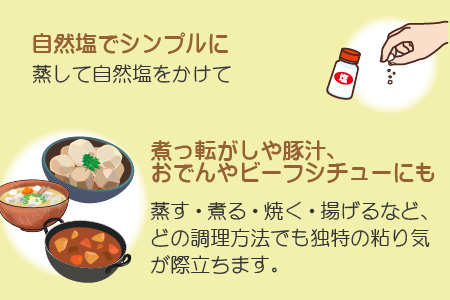 【先行予約】越前大野里芋 3kg ねっとりうまい煮崩れしない！【11月より順次発送】