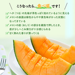 【令和8年産】北海道 上富良野 町産 「 ふらの メロン 」 大玉 秀品  2玉 約 2kg 以上 赤肉 メロン 産地直送 富良野 フルーツ 果物類 フルーツ メロン赤肉 