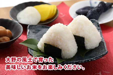 【令和7年産】名水の里越前大野の棚田清流米コシヒカリ5kg×2袋 減農薬 減化学肥料 [B-011002]|こしひかり 農薬いらず 合計10kg 国産 送料無料