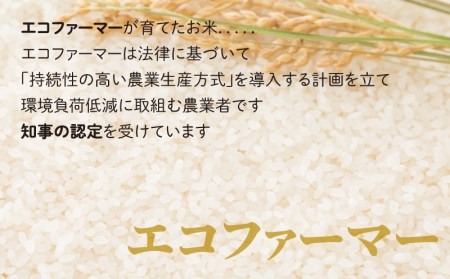 【令和7年産】【6ヶ月定期便】こしひかり 10kg×6回 計60㎏【白米】「エコファーマー米」水のまちのお米 [H-003002]