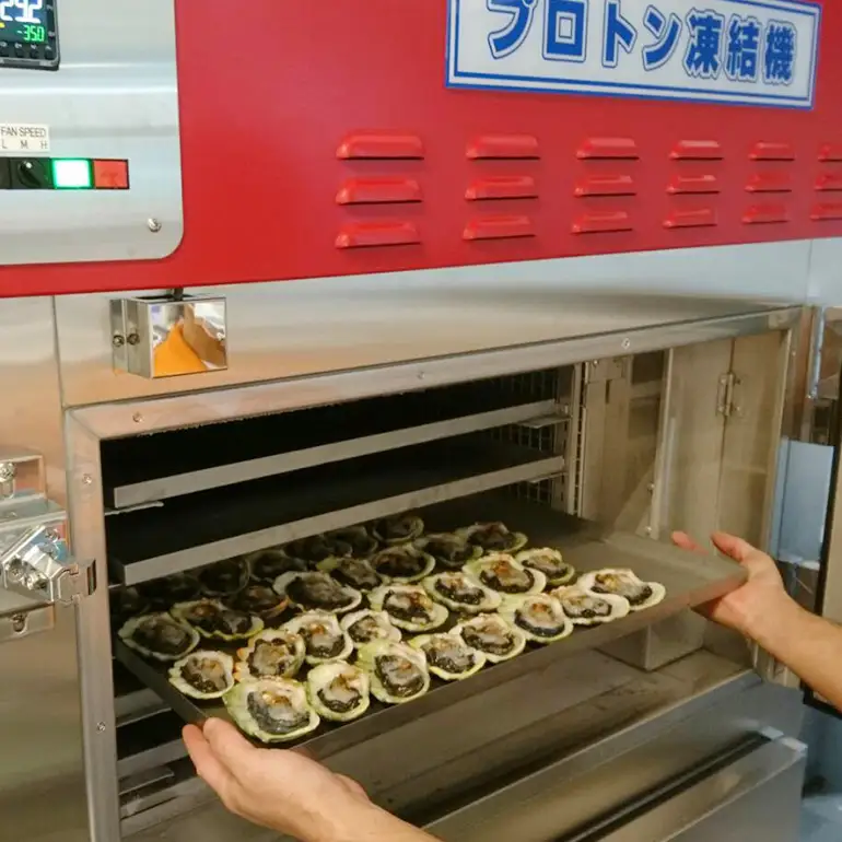 【産地直送】「海人のまち」で水揚げ！新鮮なヒメシャコ貝 約500g 海鮮 貝 シャコ貝 ヒメシャコ貝 刺身 魚介 魚貝 海産物 冷凍 お刺身 産地直送 国産 沖縄 沖縄県産 浜焼き BBQ バーベキュー アウトドア キャンプ 煮物 おつまみ 晩酌