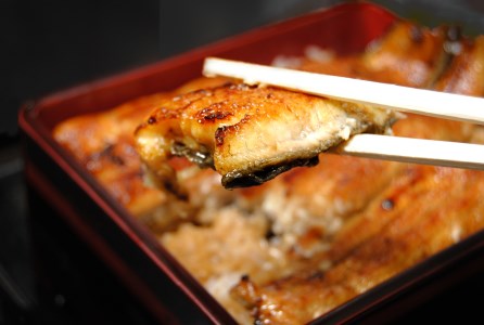 うなぎ 蒲焼 真空パック ４人前 うな繁 うな重 ひつまぶし たれ付き お中元 ギフト 富士山 湧水 ウナギ 鰻 土用 丑の日 個包装 人気 美味しい 小分け 静岡県