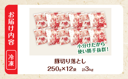 大人気 生冷凍 厳選 豚切り落とし 計3kg_C167-26-2W