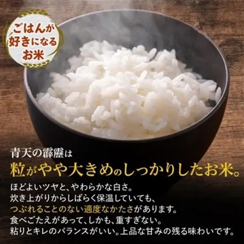 青天の霹靂 精米5kg_お米 米 白米 ご飯 コメ こめ 青森県 青森市 青森 人気 美味しい ふるさと_【1073772】