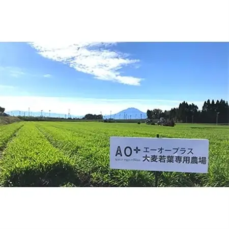 AO+　青森プロテオグリカン入り青汁_飲料・ドリンク  ジュース _【1073773】