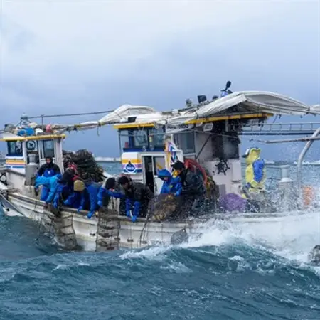 青森県むつ湾産ほたて貝柱「玉雫」300g冷凍_魚介・海産物 帆立（ホタテ） 貝 ほたて_【配送不可地域：離島】【1073949】