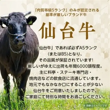 【A5仙台牛】サーロインステーキ 270g(270g×1枚)【配送不可地域：離島】【1206278】