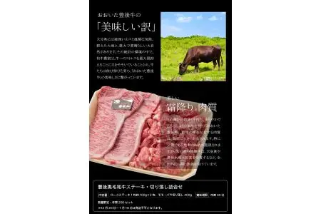 豊後黒毛和牛ステーキ・切り落し詰合せ約600ｇ A01039