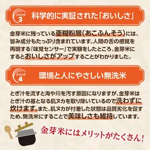 大分丹生米の里ヒノヒカリ金芽米　4.5kg×1袋 B01018