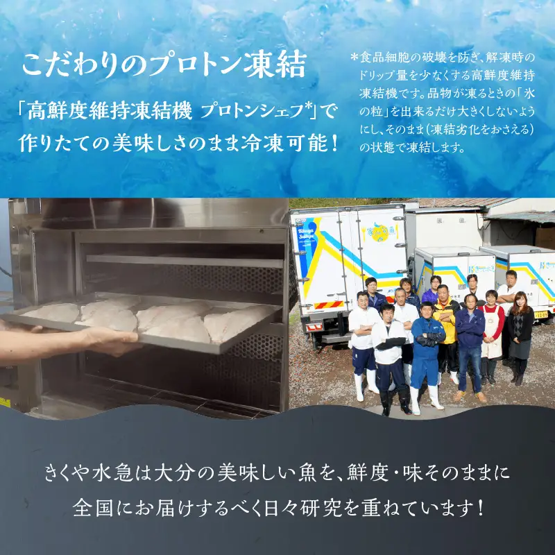 関ぶりの刺し身（柵状）　約600g E04014