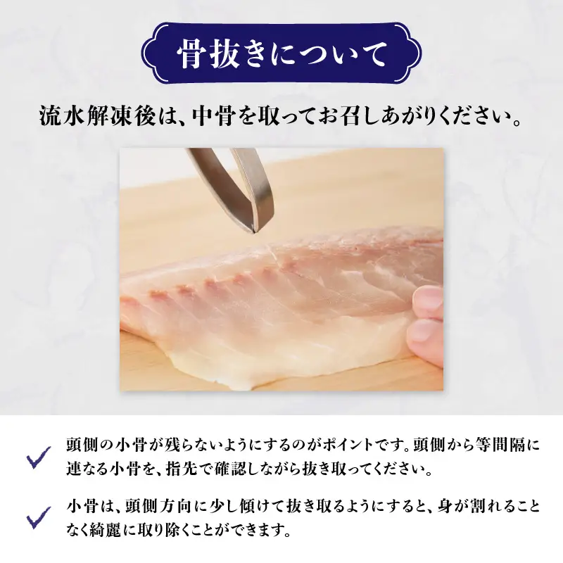 関冷刺　関あじ（大） E04018