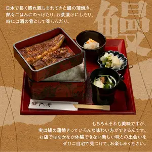 入舟 うなぎ 蒲焼き E07004