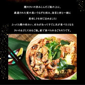うなぎひつまぶし E07005