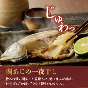 関の加工品セット E22019