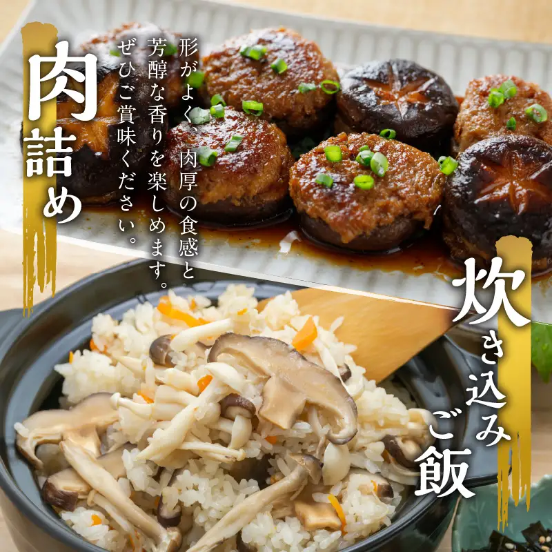 大分産乾しいたけ F07015