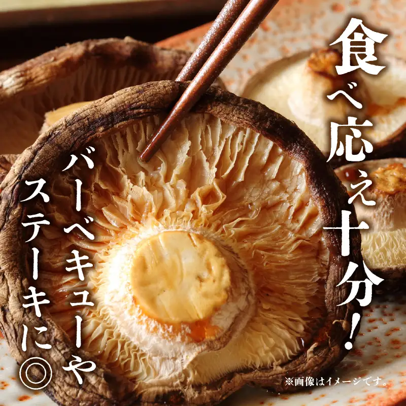大分県産椎茸　香菇　逸品　IP-A F07016