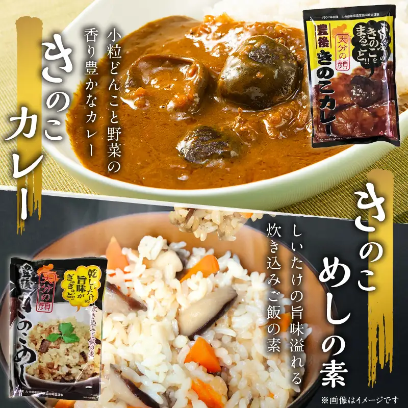 大分産乾しいたけと豊後きのこカレーと豊後きのこめし F07027