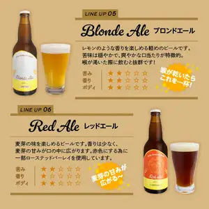 モンキーマウンテン　クラフトビール　6種飲み比べセット H01002