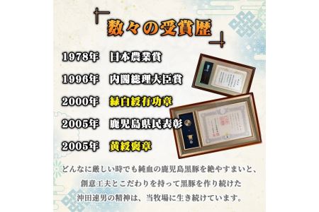 A7-07 沖田黒豚骨付きフランクソーセージ(計1.5kg・500g×3パック) 伊佐市 特産品 九州 鹿児島 粗挽き 豚肉 食べ応え 旨味 ウインナー バーベキュー BBQ キャンプ アウトドア 冷凍 冷凍便【沖田黒豚牧場】