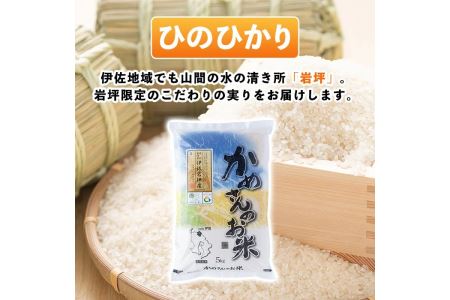 Z9-01 かめさんのお米(5kg・ひのひかり) 伊佐米 米 コメ 白米 精米 ごはん ご飯 ヒノヒカリ 5kg 【Farm-K】