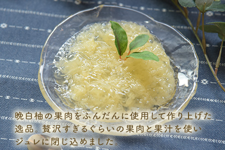 晩白柚ジュレ170g×12個 道の駅竜北 晩白柚
