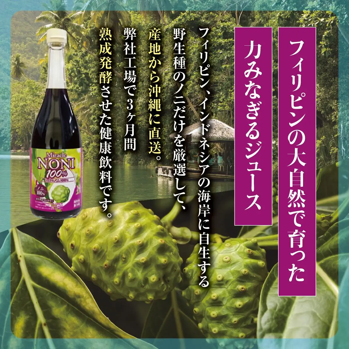 南城ノニ飲み比べセット   I  ノニジュース 飲み比べ セット  健康飲料 発酵 ノニ  沖縄県 南城市