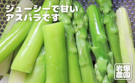 【2026年発送】飛騨産アスパラガス Lサイズ 800g 岩塚農園 [Q566] アスパラガス 
