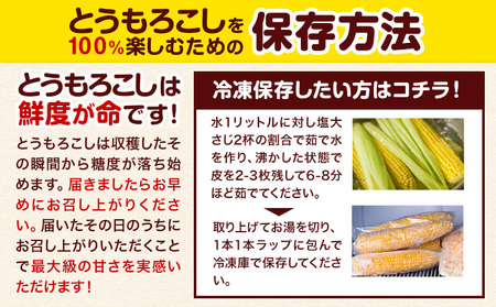 【2026年出荷】 北海道名寄産スイートコーンイエロー L〜2Lサイズ11本 《2026年8月中旬-9月中旬頃出荷予定》 NPO法人なよろ観光まちづくり協会 北海道 とうもろこし トウモロコシ  Lサイズ 2Lサイズ 取り寄せ 新鮮 産地直送 甘い 糖度 冷蔵 レビュー高評価