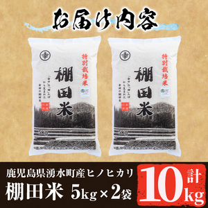 米 令和7年産 鹿児島県産 ひのひかり 10kg 白米 【くりの物産館】_C09
