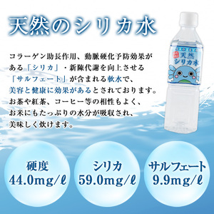日本名水百選の天然水「丸池湧水」ペットボトル(500ml×40本・計20L) 国産 九州産 鹿児島県産 水 みず 飲料水 名水 湧き水 湧水 500ml 常温 常温保存 ミネラルウォーター 軟水 シリカ水 シリカ サルフェート 【栗太郎館】_y148