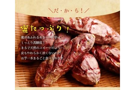  湧水町産さつまいも！紅はるかを使用したペット用冷凍やきいも(500g×3袋・計1.5kg) 国産 九州産 鹿児島県産 サツマイモ さつま芋 紅春香 芋 焼き芋 やきいも 野菜 スイーツ 冷凍 ペット用 えさ エサ【永野工務店】_y136