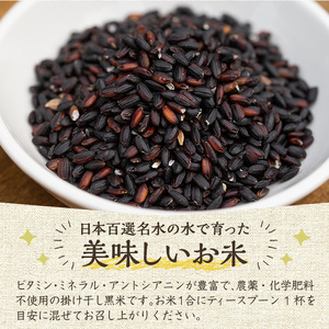 《栽培期間中農薬化学肥料不使用》掛け干し黒米(計600g・200g×3パック) 国産 九州産 鹿児島産 湧水町産 黒米 お米 米 おこめ 600g 化学肥料不使用 農薬不使用 有機 有機農業 有機肥料【雲月農園】_y172