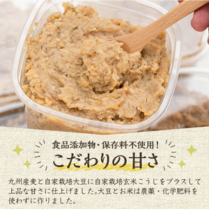 《先行予約受付中！2026年5月以降順次発送》《添加物不使用》麦みそ(計3.2kg・800g×4パック) 味噌 麦味噌 自家栽培 玄米麹 麹 こうじ みそ汁 味噌汁 野菜炒め 化学肥料不使用 農薬不使用 有機 有機農業 有機肥料【雲月農園】_y175