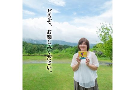 湧水町オリジナルソングCD「2LOVE」The KomaTles(ざ こまっとるず)全5曲収録！ダイナミック薩摩と湧水町を背景にしたオリジナルソングを収録 音楽 CD ご当地 挿入歌【The KomaTles】_y182