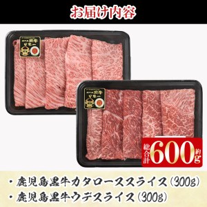 数量限定 鹿児島 黒牛 すきやきセット 計600g 【湧水町JAあいら】 スライス すき焼き用 _y189