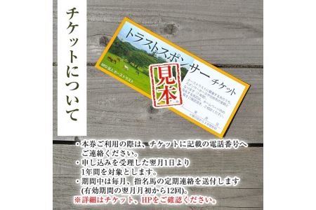 馬主のいない馬を助けたい！トラストスポンサーチケット(1枚) 里親として1年間サポートするシステムです 馬 競走馬 競馬 乗馬 乗用馬 里親 ペット サポート【NPO法人ホーストラスト】_y241