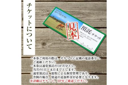 預託チケット！馬匹一頭の通常預託料1ヶ月分に相当するチケット(1枚) 馬 競走馬 競馬 乗馬 乗用馬 預託【NPO法人ホーストラスト】_y240